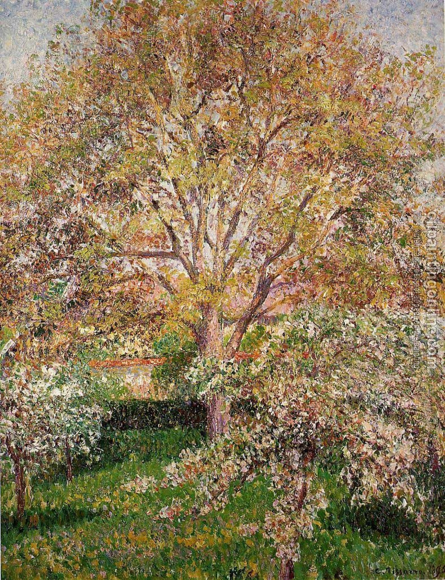 Pissarro, Camille - Walnut and Apple Trees in Bloom, Eragny